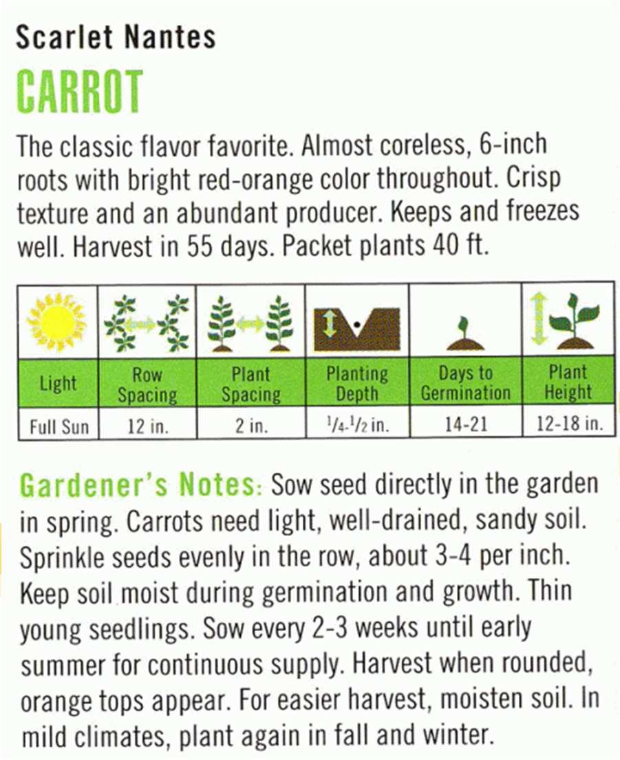4. SEEDS Everything you need to know