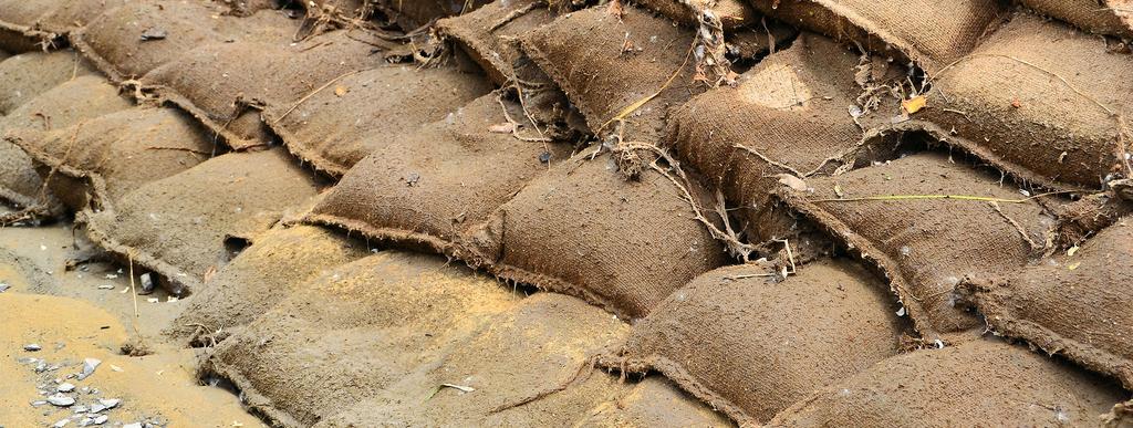 United States Department of Agriculture after the fire Sonoma County 2017 Contour Sandbags CAUTION: After a fire many trees are weakened from burning around the base of the trunk.