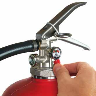 Simple In-House Annual Visual Inspection The extinguisher maintenance programme is a simple process which staff members can easily carry out.