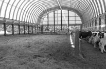 edu/dairy/ Newsletters Presentations Articles Compost Dairy Barns Excellent cow