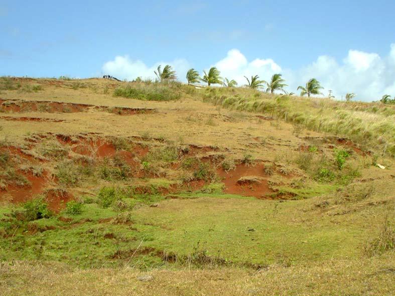 Grazing Management and Soil Quality B. Gavenda Effects of overgrazing in southern Guam. Once the soil is scarred like this it is very hard for it to recover.