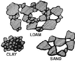 Soil Texture Loamy sand Sandy loam Loam Silty