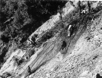 Erosion Control & Landslide Mitigation Ratighat, 1984 Loss