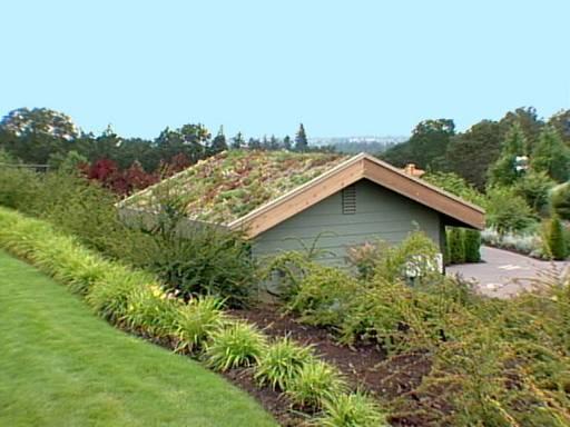 Ecoroofs Considerations: Rooftops with less than 25% slope (generally