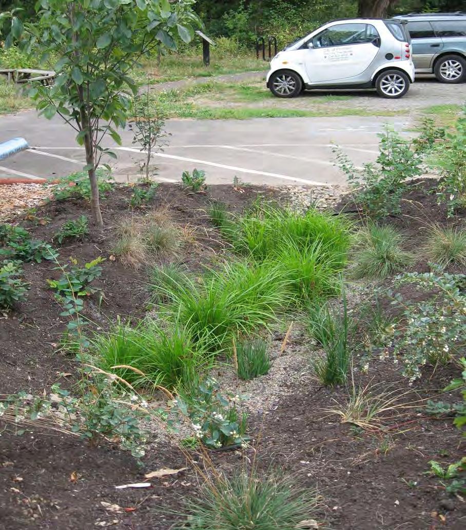 Rain Gardens Design: Great for areas where slope is not ideal for simple splashblock disconnection
