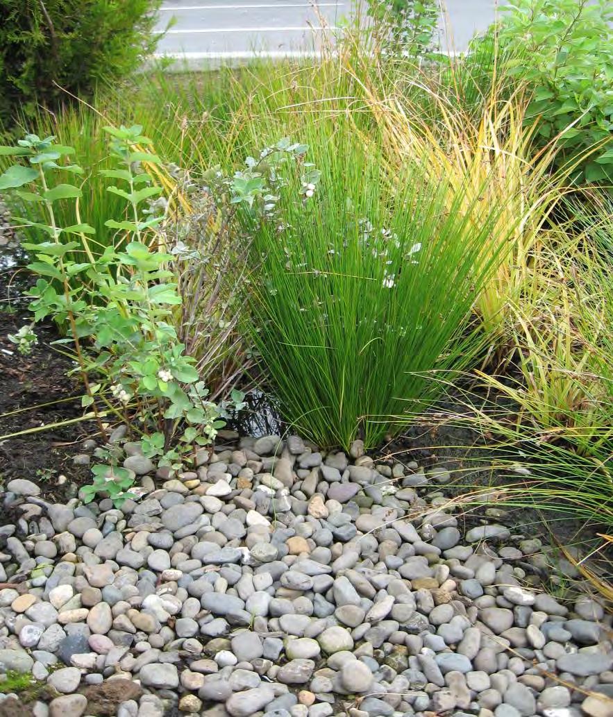 Stormwater Retrofits Basic Approach Stormwater retrofits mimic the natural hydrologic cycle in a manner that is safe and effective for the site and neighboring