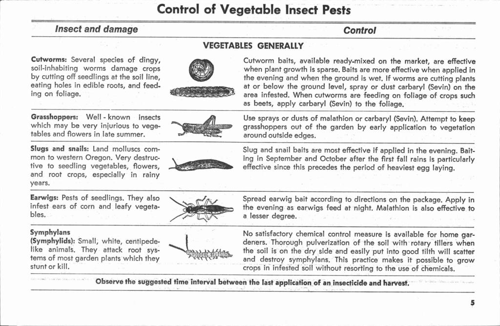 Insect and damage Cutworms: Several species of dingy, soil-inhabiting worms damage crops by cutting off seedlings at the soil line, eating holes in edible roots, and feeding on foliage.