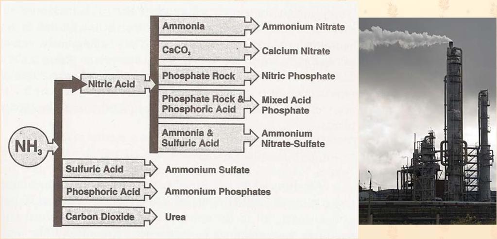 Conversions of Ammonia to Various