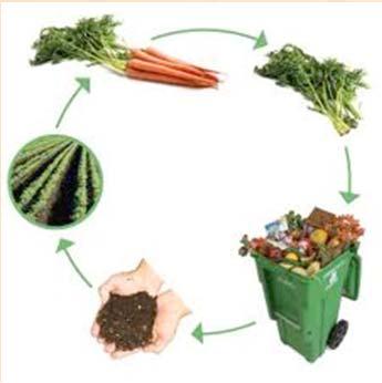 Compost Characteristics and Uses Contains most nutrients required by