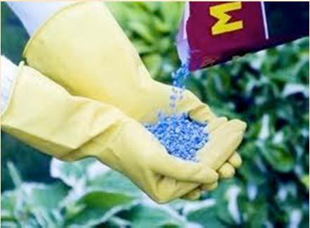 Chemical Fertilizers Advantages of