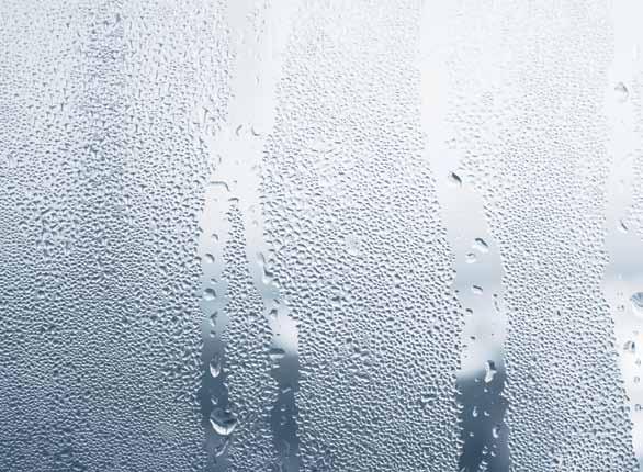 Where will you find condensation? Condensation is surface dampness.