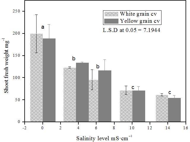 Figure 2. Shoot fresh weight vs. Salinity levels Figure 3. Shoot dry weight vs. Salinity levels Figure 4.Shoot length vs.