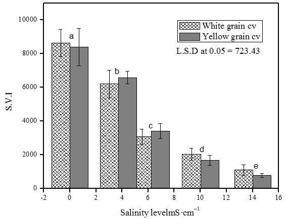 Therefore, a decision on the selection of suitable and salt tolerant cultivar is difficult to be taken based on germination % or salt stress tolerance during early growth stages.