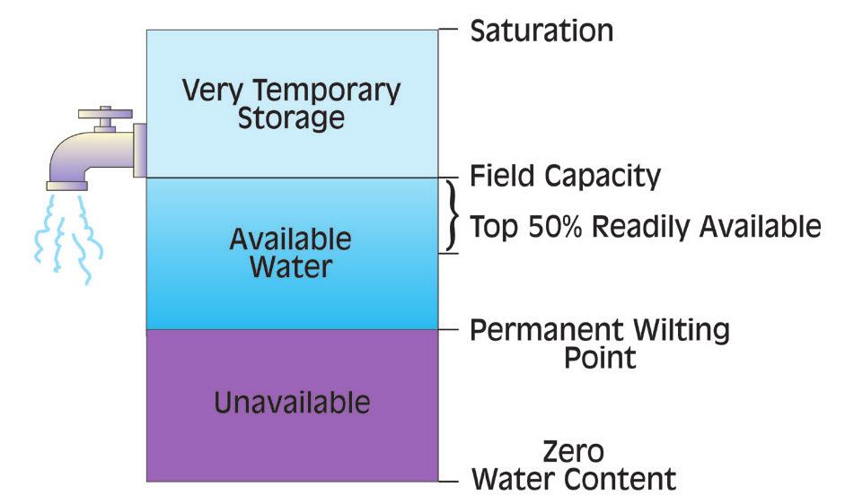 permanent wilting point (the lower limit) (Figure C-5). Plant available water is determined primarily by soil texture, although soil structure is also important in fine-textured soils.