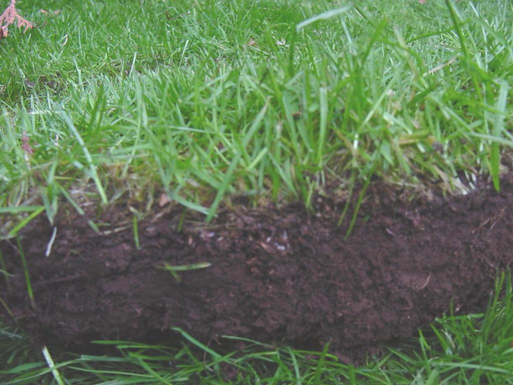 Why should you care about soil organic matter?