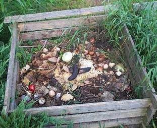 Compost is not just the backyard type It has a consistent quality It has no