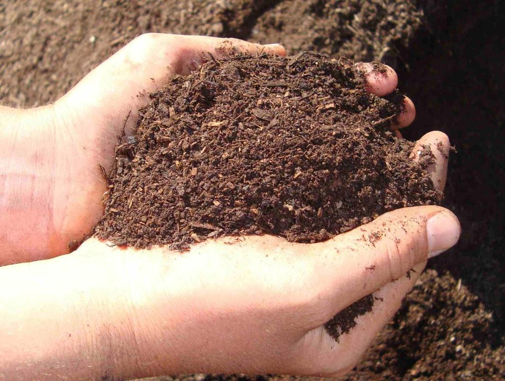 Compost is not soil.