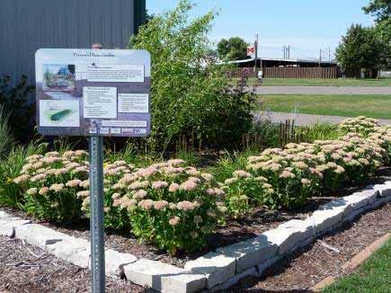 Research Objectives: Identify barriers to the use of rain gardens and native plantings in Southern Washington County, Woodbury, Cottage Grove, St.