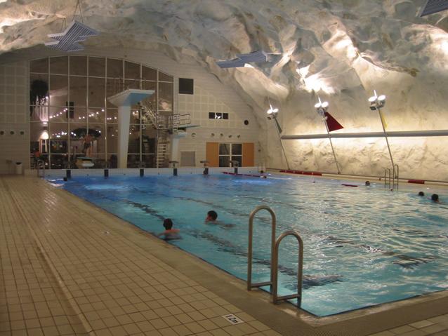 1 1.0 GENERAL DESCRIPTION A controlled and comfortable indoor climate is an important factor particularly in swimming pool halls where high relative humidity and condensation can reduce the