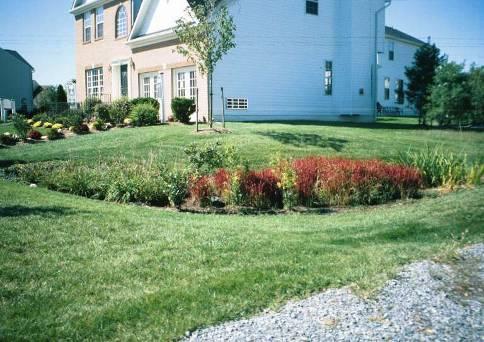 Rain Gardens Very small watersheds; house lot scale 6-9 ponding depth Drains