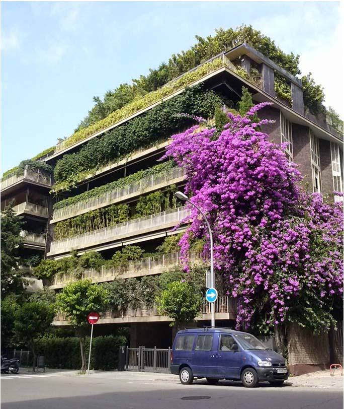 Introduction Vertical Greenery Systems contribution to Ecosystem Services in the built environment take place at two scales: Urban scale Urban environment improvement Heat island effect reduction