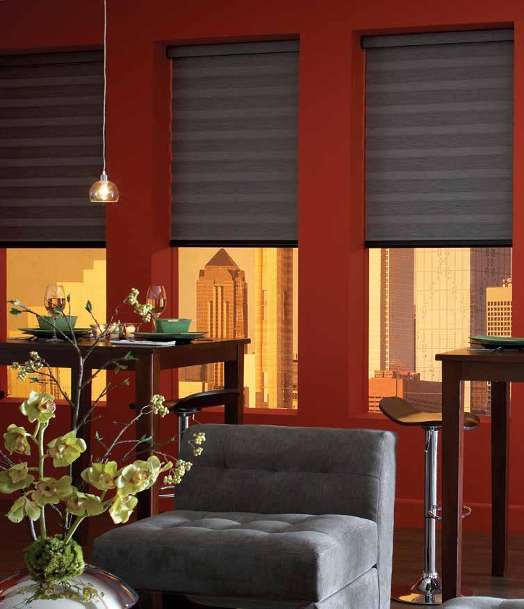 MOTORIZATION The QMotion Advanced Motorization System is available on our Genesis Roller Shade Collection offering state of the art technology and leading edge design to
