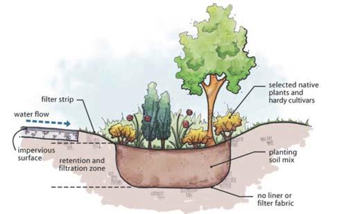 Bioretention See Coordinator s Manual, pages 450-8-10 Visual 9.
