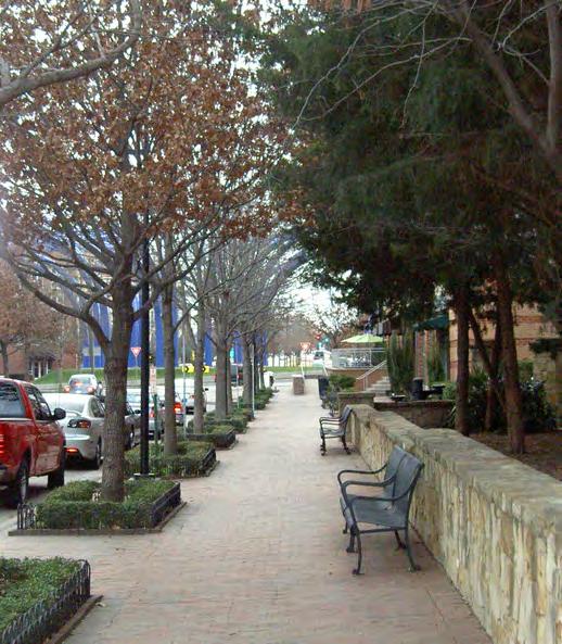 Amenity Zone & Street Trees 57. Amenity zones and street trees are intended to provide definition between vehicular and pedestrian use areas. 58. Planing areas should be designed to protect trees.