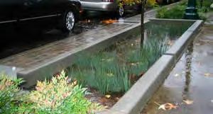 STREET TREES LID STORMWATER MANAGEMENT SUSPENDED PAVEMENT SYSTEMS & STRUCTURAL SOIL The City Forester maintains a list of approved street trees and provides additional tree spacing information.
