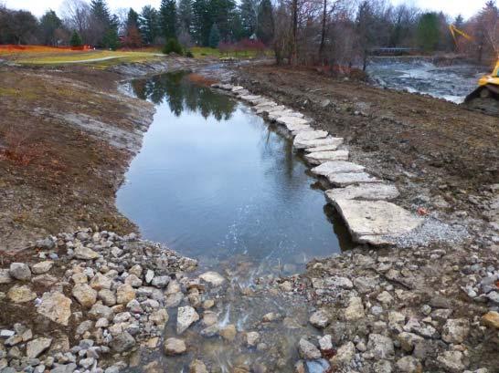 TBG applied for and received an Ohio EPA 319(h) Nonpoint Source Pollution Control grant in October 2011 to implement the Crosby Lakes and Hill Ditch Restoration Project.
