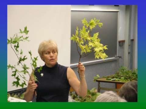 Master Gardeners have the opportunity to delved into specific subjects at advanced