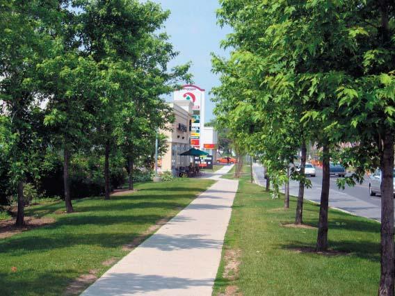 NORTH 10m Landscape Buffer at Street Front Parking Lots In areas along Huron Church Road with commercial frontage, the landscape treatment at the street should be a combination of building frontages