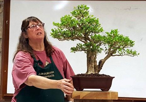 He was honored as an Outstanding America Bonsai Artist by the National Bonsai Federation in 1987 and has founded 2 statewide shohin bonsai organizations in both California and Texas.