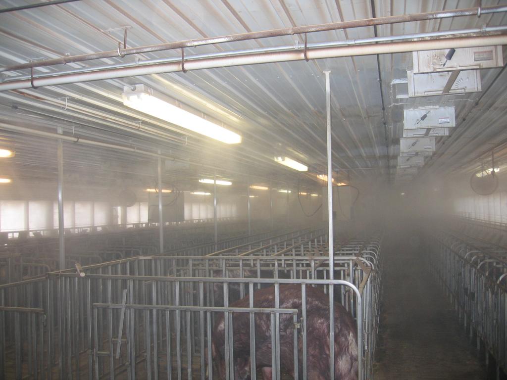 piglets warm & dry Reduces feed wetting Keeps young pigs dry Wets a high bloodflow area 39 Atomizer Cooling Make