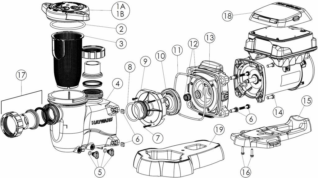 9.6. Replacing the Motor Assembly 13. Slide the motor assembly, with the diffuser in place, into pump/strainer housing, being careful not to disturb the diffuser gasket. 14.