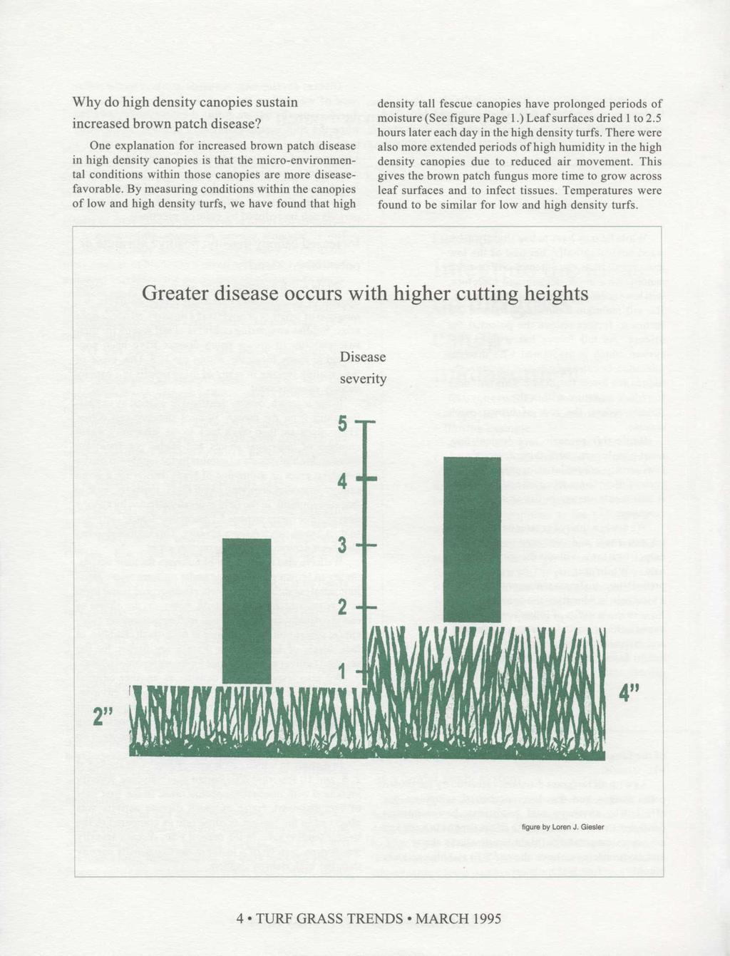 Why do high density canopies sustain increased brown patch disease?