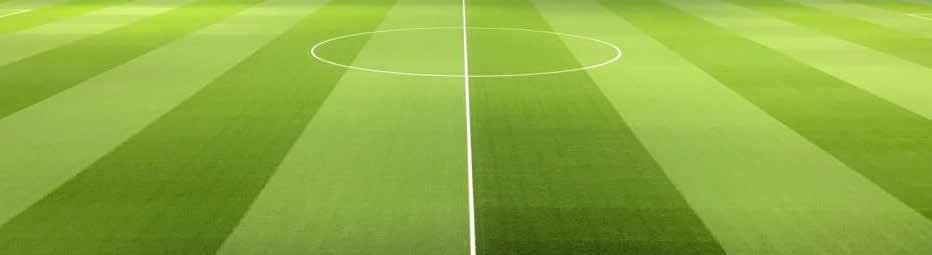 SPORTS PITCHES Introduction Over the past twenty years technological and agronomic advances have seen vast improvements to the way we manage our turf surfaces.