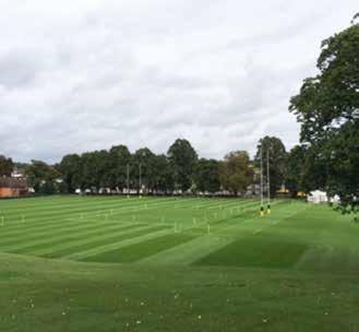 FINE TURF OUTFIELD product is extremely important as the numerous fixtures can very much limit the frequency of fertiliser applications that can be made.