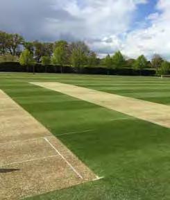 SPORTS PITCHES Cricket Squares I get many enquiries about the fertiliser applications on cricket squares at various levels.