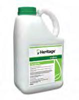 FINE TURF OUTFIELD Banner Maxx MAPP No: 13167 Contains 156g/l propiconazole LIQUID Banner Maxx is an exceptional fungicide offering three routes to effectively control a broad spectrum of turf