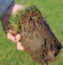 Modern sports turf rootzones, managed to provide firm and fast surfaces, are often compacted, display poor rooting and become anaerobic in time, through excessive watering.