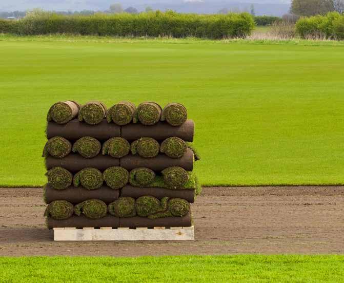 FINE TURF AGS TURF OUTFIELD Advance Grass Solutions has a relationship with a number of the premier turf growers around the country.