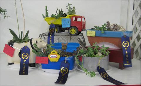 Children's Container Garden for Fair Competition The Bakersfield Cactus & Succulent Society is sponsoring a youth completion at the Kern County Fair in September.