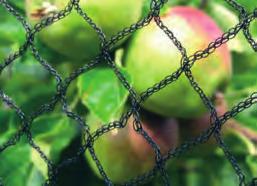 Accessories Fruit Cage Net Superior quality 20mm mesh with a 10 year life stitch Mono-thread Suitable for installation on a Tunnel or fruit cage.