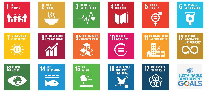 Connecting Agendas: Health & Sustainability Health Promotion Fairness / Justice Sustainability The UN SDGs establish a duty to