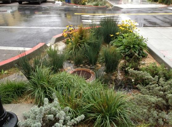 SFPUC Green Infrastructure Implementation Stormwater Management Ordinance