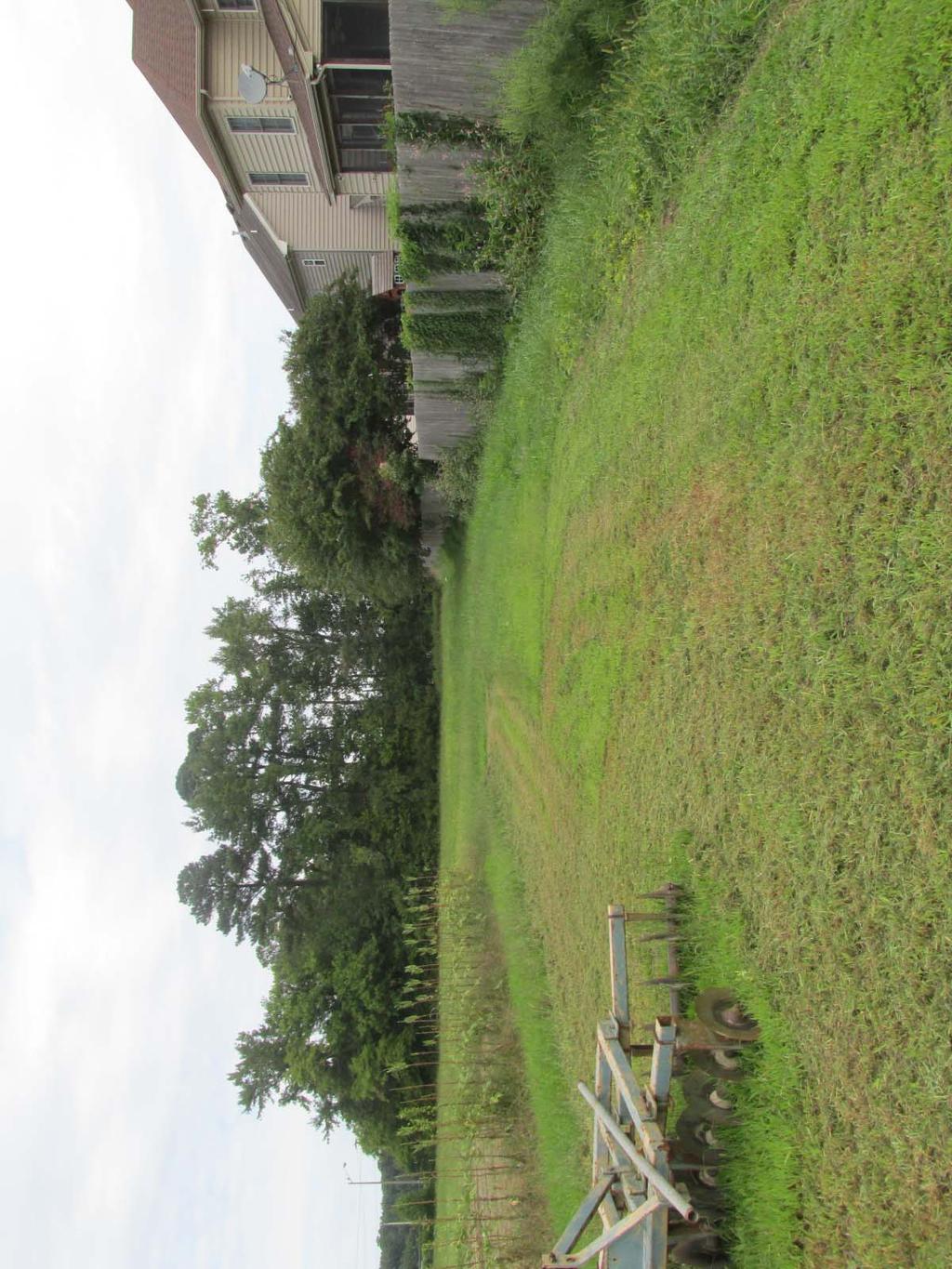 PHOTOGRAPH OF SITE (looking