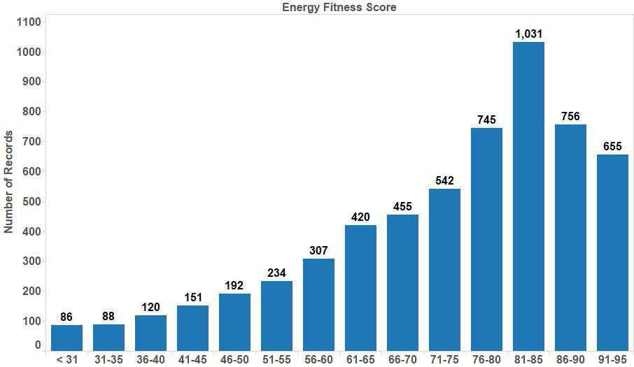Energy Fitness Score Calculating the homes score Score is calculated within each category Determined by where the home is within the low to high range for that category Attic Example: 1 Story