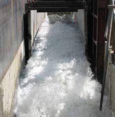 The planter box was then placed into a hydraulic flume at a fixed slope of 50 percent (2:1 H:V). The reinforced vegetation was then subjected to a series of increasing water discharge rates.
