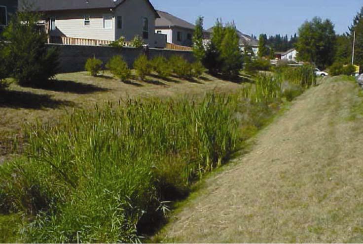 Vegetated Swales and Filter Strips Definition: A vegetated section of land designed to accept overland runoff and filter water through the vegetation.